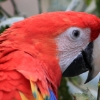 ZOO Zlín 2017 září