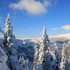 KrkonoÅ¡e 2011 leden