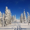 KrkonoÅ¡e 2011 leden