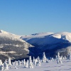 KrkonoÅ¡e 2011 leden