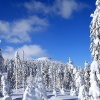 KrkonoÅ¡e 2012 leden