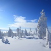 KrkonoÅ¡e 2013 leden
