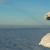KrkonoÅ¡e 2009 leden